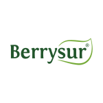LogoBS